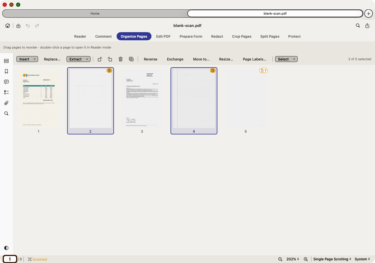Organize Pages with two amber blank-page badges and one possibly-blank badge